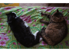 DSC07513.JPG