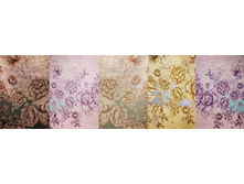 ��������� �����