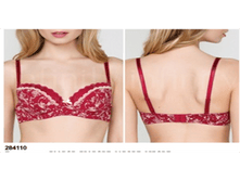 284110  �������