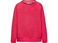 1000277875560 14544918341.png