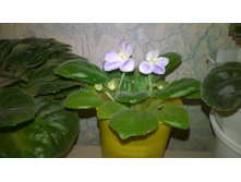 WP 20151101 17 18 06 Pro.jpg