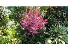 �������� �����