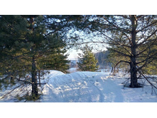 Photo 2016-02-28 19-31-16.jpg