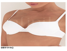 051111C �����