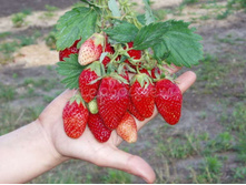 ������ NEW 60�.jpg