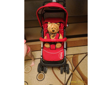 ����������� 018.jpg