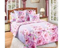 �������-1 ���������.jpg