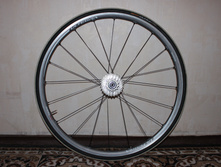 IMG 8150.JPG