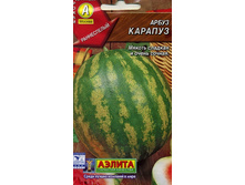 ����� ������� 8 ���. 3 ��.