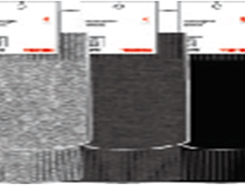 ����� "����� 01" 171 ���