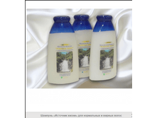 ������� "�������� �����" ��� ���������� � ������ ����� � ������������ ��������