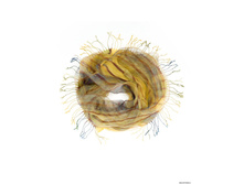 TISF361 - ������.jpg