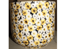 203 Z ����������