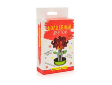 ��������� ��������� �������� ������