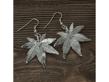 ������ "���� ��������� ����� " �������, ���������