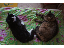 DSC07514.JPG