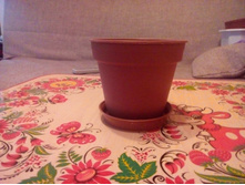 IMG 20160216 155404.jpg