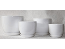 J15 �������