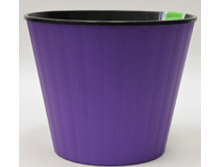 �����-��������-������ ����� ������� ������� � ��������