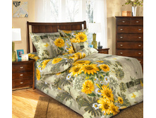 ���� ������ -1 ���������.jpg