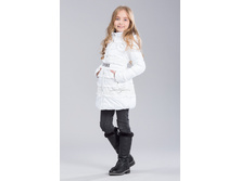 ������� A13813