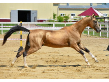 76 1433690763.4292.jpg