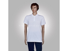 ���� ����� ����������