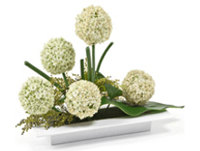 618 ������� ����������� 190*190 ��