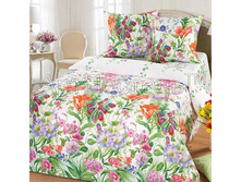 ��������� ��������.jpg