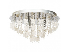 394010412 13500p.jpg