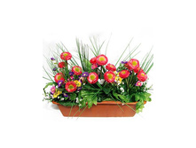 �228 ����������� ������ "����������"�������. �228 ����������� ������ "����������"�������. ------ �������	�228 �������,��	40 �� ����,���. (��)	1564.00