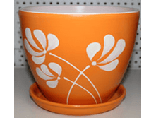 5666 ���������