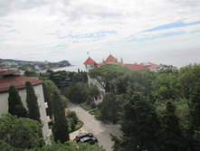 IMG 1445.JPG