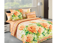 ����-1 ���������.jpg