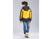 ������� B15106