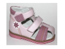 24115.������� ORTO.png