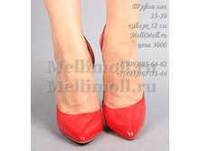 ���� : 1600 ���.