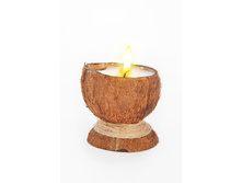 �����-��� ������ ������ COCONUT � �������� ������ � ������� d8-10 h9-12 �� - 265 �.