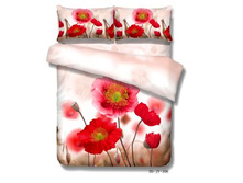 16884 kpb-rs-112.jpg