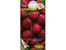 ����� ������ 8 ���. 30 ��.