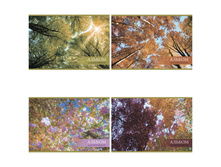 ������ ��� ��������� 32�. �4 �� ������ ������� ������� 32,69.jpg