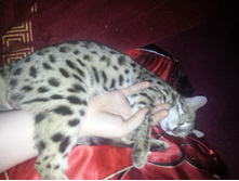 ��� �� ����)))