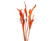 9874 ������ ��������� ������� (10) 299�.jpeg