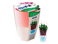 ���� � ��������� �����������