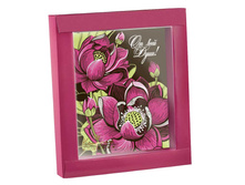 ���������� �������� "�� ���� ����!" 260 ���