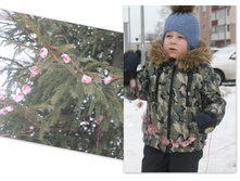 ���� ������� ���������.jpg