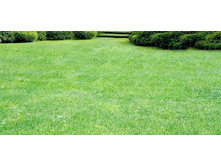 ����� ������� ����� - 27,5 ���. (30� - ��� ����� ����� ����� � ������). �������� 10 ��...jpg