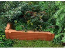 ������� ����� ����1.jpg