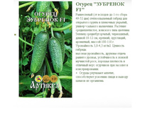 ������ �������� F1 12 ��. + ��� (�����������)- 8,89�.jpg