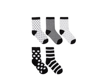 ����� "����� ��512" ������� 5 ��� 193 ���